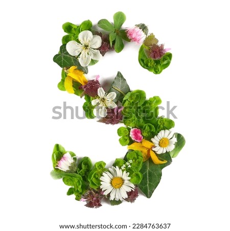 Letter symbol S of colorful field fresh flowers isolated on white
