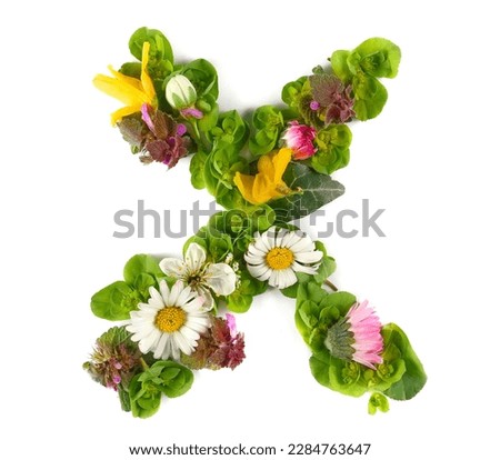 Letter symbol X of colorful field fresh flowers isolated on white
