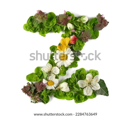 Letter symbol Z of colorful field fresh flowers isolated on white