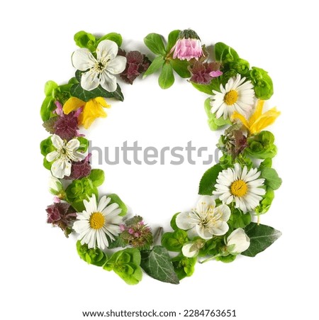 Letter symbol O of colorful field fresh flowers isolated on white
