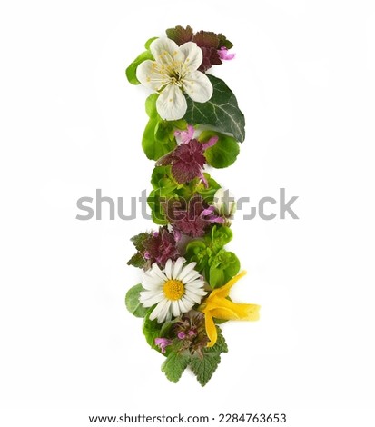 Letter symbol I of colorful field fresh flowers isolated on white
