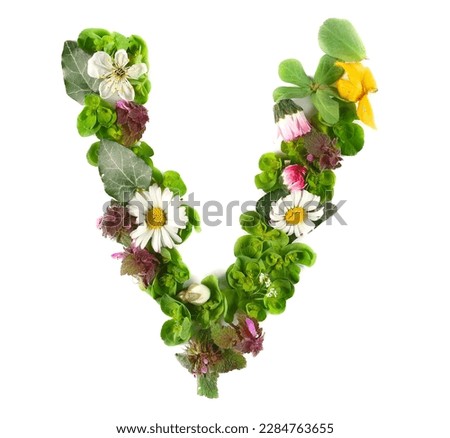 Letter symbol V of colorful field fresh flowers isolated on white