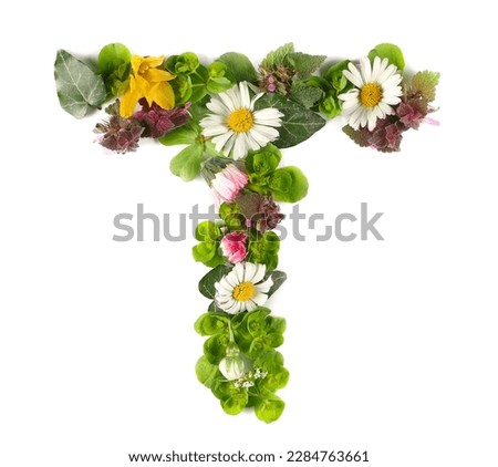Letter symbol T of colorful field fresh flowers isolated on white