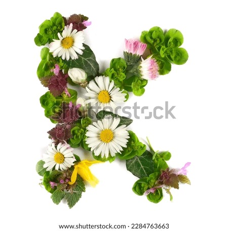 Letter symbol K of colorful field fresh flowers isolated on white