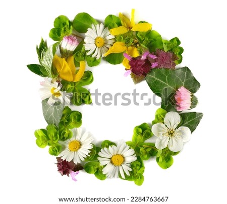 Letter symbol D of colorful field fresh flowers isolated on white