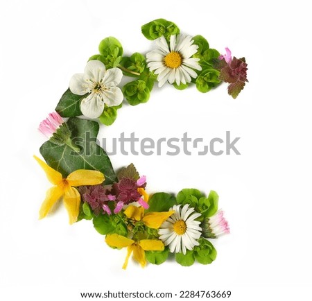 Letter symbol C of colorful field fresh flowers isolated on white