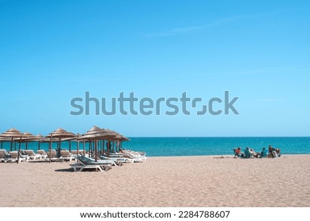 a company of young people is resting on the beach near the sea o