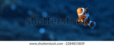 clown fish on an anemone underwater reef in the tropical ocean Royalty-Free Stock Photo #2284815839