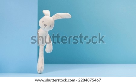plush toys. plushie doll. plush stuffed puppet. plushie toy. soft toy. made from plush or soft cloth. filled soft material. softer and cuddlier. place for text, space for text, copy space, free space. Royalty-Free Stock Photo #2284875467