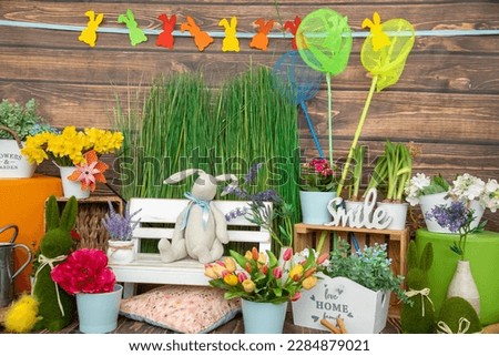 Photo studio for clients is brightly decorated in spring. Festive decor. Spring photo shoot. Children's holidays. Family photo studio. Wooden wall. Bright festive background. Greetings and postcards.
