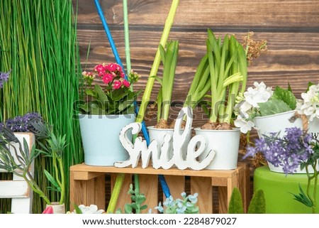 Design of photo zones. Festive spring decor in photo studio. Greetings and postcards. Spring photo shoot. Concept of rural garden, Provence style. Bright background for children's photos. 