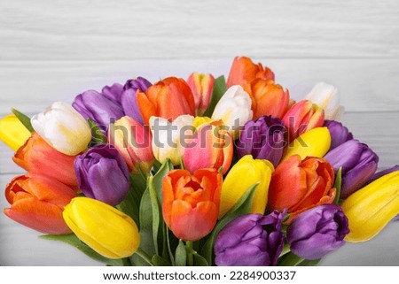 Bouquet of beautiful colorful tulips on white wooden background, closeup