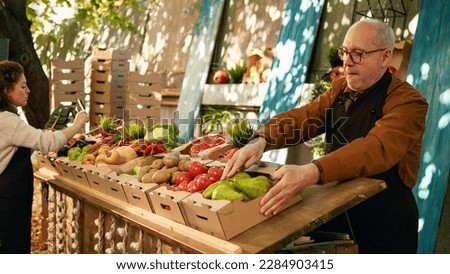 Team of local farmers putting price tags and arranging products on farmers market stand, preparing to sell locally grown eco veggies. Two vendors selling fresh organic bio produce. Royalty-Free Stock Photo #2284903415