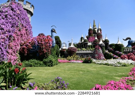 Dubai Miracle Garden in the daytime Royalty-Free Stock Photo #2284921681