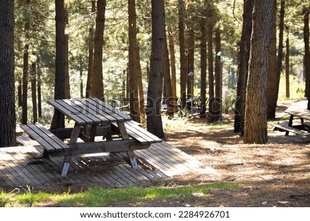 Wooden picnic table idea concept, Picnic tables under the pine trees. A pleasant environment with the family. Forest, nature. Weekend, rest time. No people, nobody.