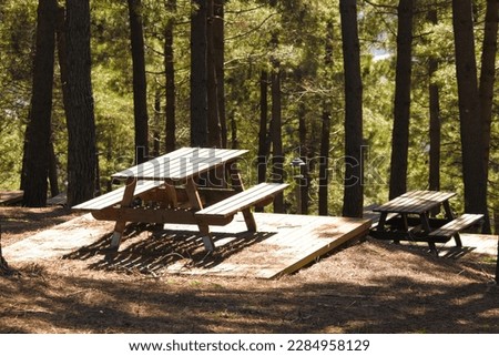 Wooden picnic table idea concept, Picnic tables under the pine trees. Seat in a city park. Rest in the open area. No people, nobody. Horizontal photo. Forest, nature