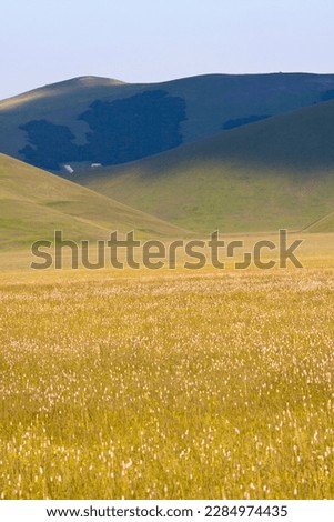 The lentil fields flowering event at Piane di Castelluccio di Norcia in Umbria attracts tourists and professional photographers every year between June and July.