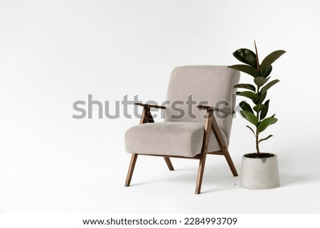 modern interior with comfortable armchair and plant on white background. Royalty-Free Stock Photo #2284993709