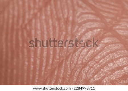 Human finger, skin lines. Close-up, macro photo.