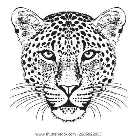 Leopard portrait hand drawn sketch Vector illustration Wild animals