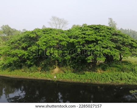 Pictures of some natural beauty of Bangladesh