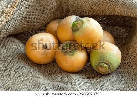Golden ball turnips, ancient vegetable on a hessian background Royalty-Free Stock Photo #2285028733
