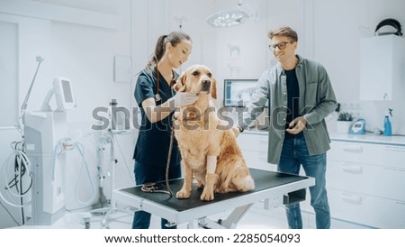 Young Man in Glasses, Accompanying His Pet Golden Retriever at Doctor's Appointment at Veterinary Clinic. Dog Standing on Examination Table While Female Vet with Stethoscope Inspects the Pet Royalty-Free Stock Photo #2285054093