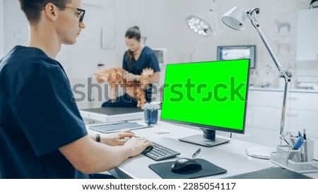 Female Veterinarian Diagnosing a Red Maine Coon Cat with Stethoscope. Veterinary Clinic Employee Using Desktop Computer with Green Screen Mock Up Display at Work