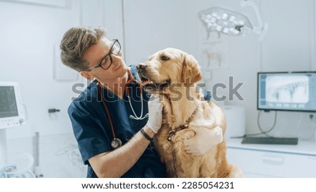 Young Handsome Veterinarian Petting a Noble Golden Retriever Dog. Healthy Pet on a Check Up Visit in Modern Veterinary Clinic with a Professional Caring Doctor Royalty-Free Stock Photo #2285054231