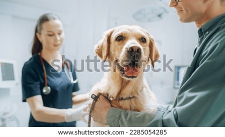 At a Modern Vet Clinic: Golden Retriever Sitting on Examination Table as a Female Veterinarian Assesses the Dog's Health. Handsome Dog's Owner Helps to Calm Down the Pet Royalty-Free Stock Photo #2285054285