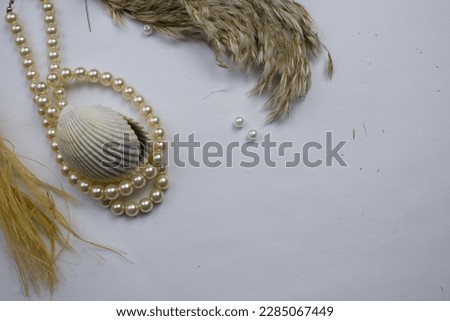 Mussel and pearl necklace.  Clam and pearl necklace placed on a white background.  surface, reeds, copy, space