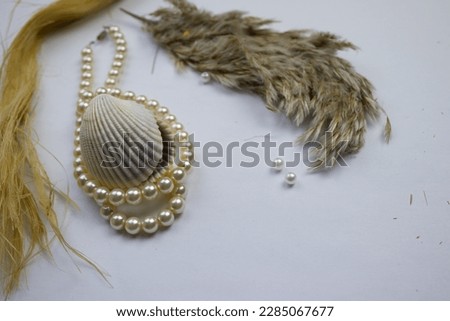 Mussel and pearl necklace.  Clam and pearl necklace placed on a white background.  surface, reeds