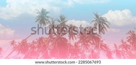 The holiday of Summer with colorful theme as palm trees background as texture frame background  
