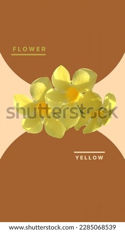 Yellow trumpet flower for aestetic background