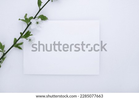 cherry blossom branch with letter mockup on white background top view