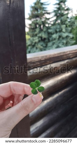 lucky green clover with four leaves in hand
