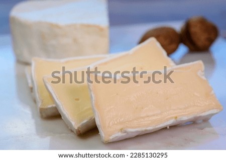 French white mold soft cow milk cheese Caprice des Dieux from Haute-Marne region, France, close up Royalty-Free Stock Photo #2285130295