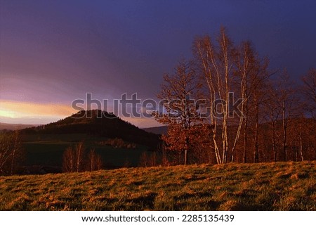 Tree and mountain in the sunset, view from Szybowcowa mountain, Poland
