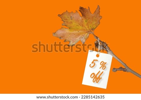 Label with five percent discount on ticket, discount tag with yellowed leaf on twig. Autumn or winter sale concept idea with space for text.