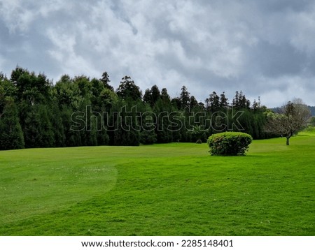 Beautiful picture of a golf camp with pine trees.