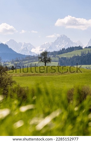 Spring Landscape with sun and blue heaven in Windischgarsten, Upperaustria