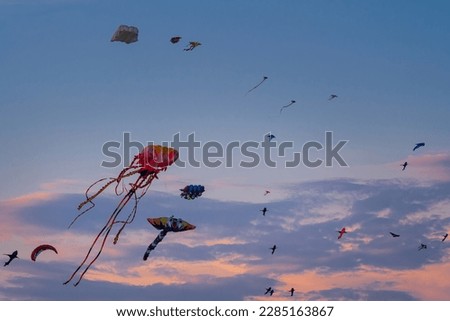 Kite flying is traditional game in Vietnam. Modern kites can be shaped into many forms like animal, cartoon character.
