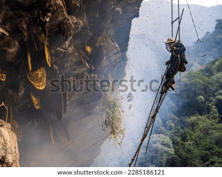 The Mad Honey Hunter in Nepal.  Royalty-Free Stock Photo #2285186121
