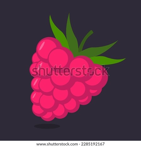 Raspberry with leaf vector icon.