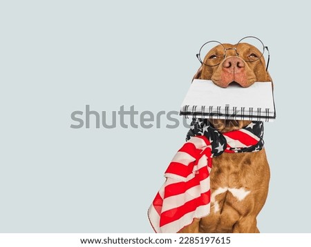Cute puppy, notepad with blank page and American Flag. Business style. Closeup, indoors. Day light, studio photo. Isolated background. Concept of care, education, training and raising pet