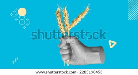 Agriculture, harvesting. Hand holding ears of wheat. Minimalist art collage