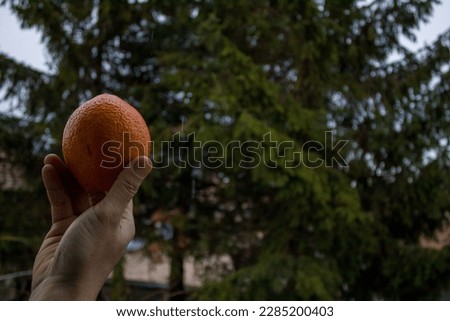 Fresh fruit.  Fresh fruit in the hand outstretched to nature.  noise, grain, effect, orange, orange