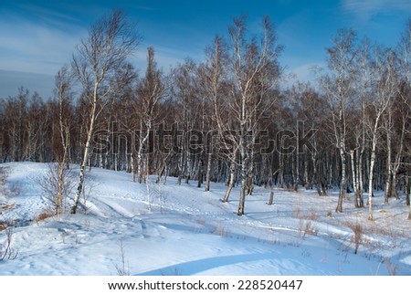
Winter mountains. Russia Siberia Krasnoyarsk . Landmark Torgashinsky ridge.