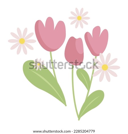 Cute garden flowers, tulips and daisies isolated on white background. Vector modern illustration in a simple, flat style. Design post, poster, applique, social media, banner, flyer.