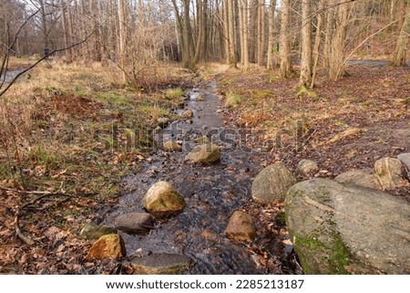 Small water stream in forest
